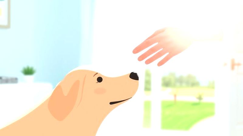 Un hogar cálido transmite paz y afecto