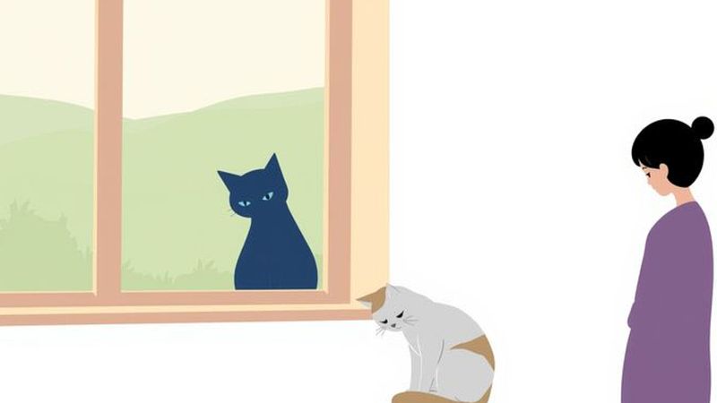 Un humano observa silenciosamente a un gato